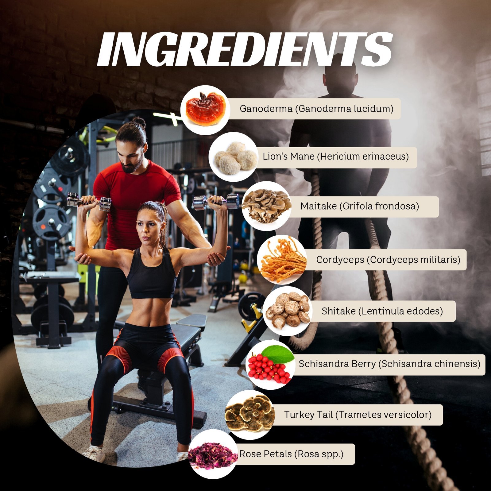 Divine Defender Drops