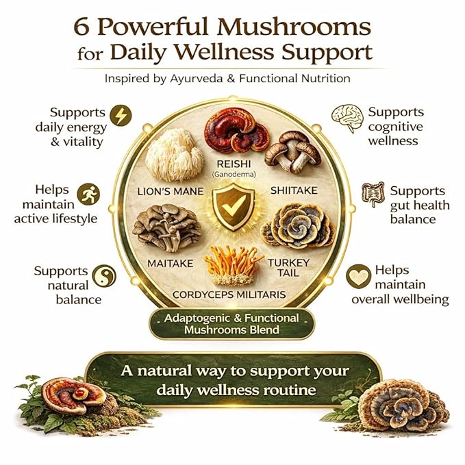 <b> More Active </b> - Daily Immunity Support with Medicinal Mushrooms - Image 4